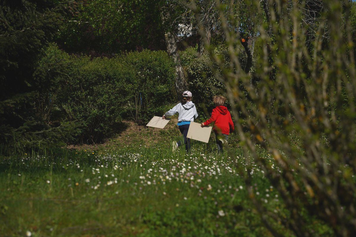 Mercredi 24 avril : Atelier découverte des plantes et oiseaux autour de nos maisons.