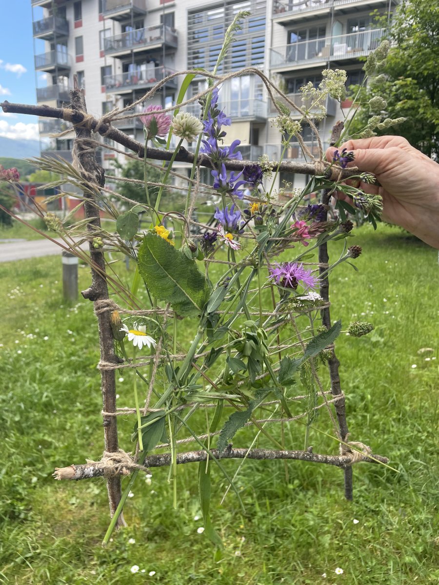 Fête de la Nature aux Vergers